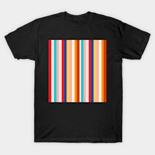 Vertical Colorful Stripes Designs - Multicolor Designs T-Shirt